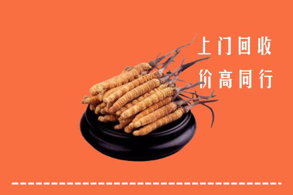 高价求购：汕尾海丰回收散虫草