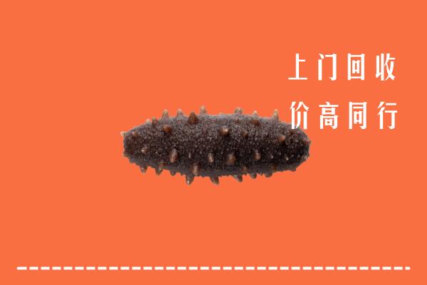 高价求购：汕尾海丰回收海参