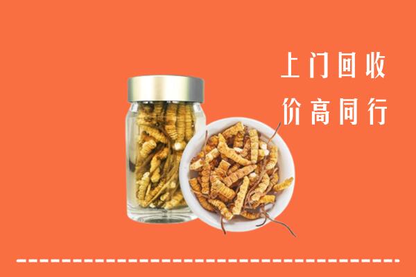 汕尾海丰回收冬虫夏草